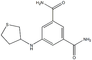 5-(thiolan-3-ylamino)benzene-1,3-dicarboxamide 结构式