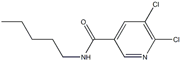 5,6-dichloro-N-pentylpyridine-3-carboxamide 结构式