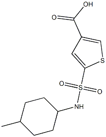 5-[(4-methylcyclohexyl)sulfamoyl]thiophene-3-carboxylic acid,,结构式