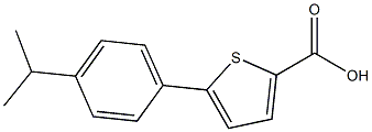 5-[4-(propan-2-yl)phenyl]thiophene-2-carboxylic acid|