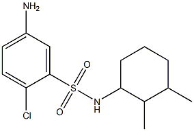 5-amino-2-chloro-N-(2,3-dimethylcyclohexyl)benzene-1-sulfonamide|