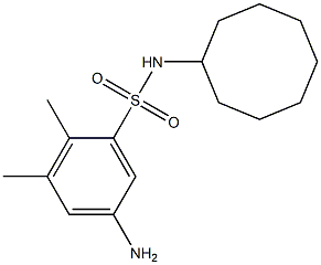  5-amino-N-cyclooctyl-2,3-dimethylbenzene-1-sulfonamide