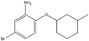 5-bromo-2-[(3-methylcyclohexyl)oxy]aniline Structure