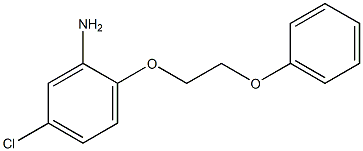 5-chloro-2-(2-phenoxyethoxy)aniline 结构式