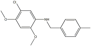 5-chloro-2,4-dimethoxy-N-[(4-methylphenyl)methyl]aniline 化学構造式