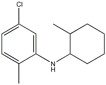 5-chloro-2-methyl-N-(2-methylcyclohexyl)aniline Structure