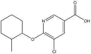  5-chloro-6-[(2-methylcyclohexyl)oxy]pyridine-3-carboxylic acid