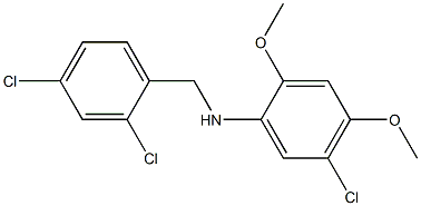 5-chloro-N-[(2,4-dichlorophenyl)methyl]-2,4-dimethoxyaniline Structure