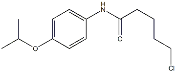 5-chloro-N-[4-(propan-2-yloxy)phenyl]pentanamide Structure