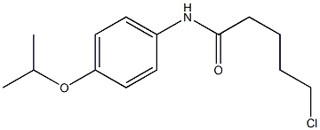  5-chloro-N-[4-(propan-2-yloxy)phenyl]pentanamide