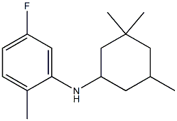 5-fluoro-2-methyl-N-(3,3,5-trimethylcyclohexyl)aniline 结构式