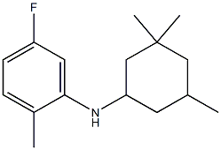 5-fluoro-2-methyl-N-(3,3,5-trimethylcyclohexyl)aniline,,结构式