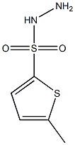 5-methylthiophene-2-sulfonohydrazide,,结构式