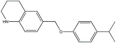 6-[4-(propan-2-yl)phenoxymethyl]-1,2,3,4-tetrahydroquinoline,,结构式