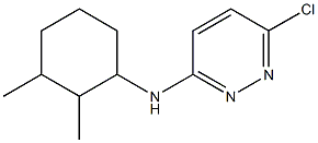 6-chloro-N-(2,3-dimethylcyclohexyl)pyridazin-3-amine 结构式