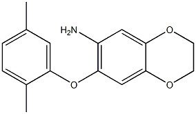 7-(2,5-dimethylphenoxy)-2,3-dihydro-1,4-benzodioxin-6-amine Structure