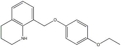 8-(4-ethoxyphenoxymethyl)-1,2,3,4-tetrahydroquinoline Struktur