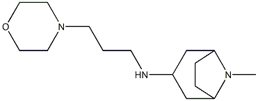 8-methyl-N-[3-(morpholin-4-yl)propyl]-8-azabicyclo[3.2.1]octan-3-amine Struktur