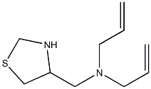 bis(prop-2-en-1-yl)(1,3-thiazolidin-4-ylmethyl)amine 结构式
