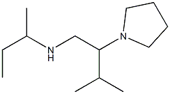 butan-2-yl[3-methyl-2-(pyrrolidin-1-yl)butyl]amine