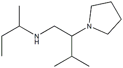 butan-2-yl[3-methyl-2-(pyrrolidin-1-yl)butyl]amine 结构式