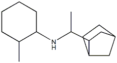 N-(1-{bicyclo[2.2.1]heptan-2-yl}ethyl)-2-methylcyclohexan-1-amine Struktur