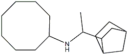 N-(1-{bicyclo[2.2.1]heptan-2-yl}ethyl)cyclooctanamine Struktur