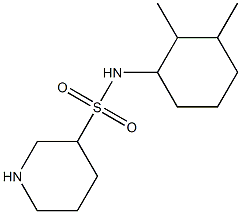 N-(2,3-dimethylcyclohexyl)piperidine-3-sulfonamide Struktur