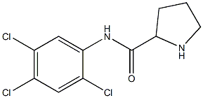 N-(2,4,5-trichlorophenyl)pyrrolidine-2-carboxamide Structure