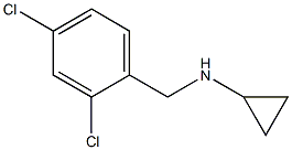 N-(2,4-dichlorobenzyl)cyclopropanamine Structure