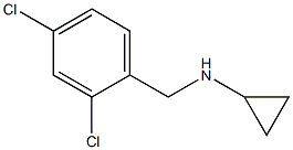 N-(2,4-dichlorobenzyl)cyclopropanamine Struktur