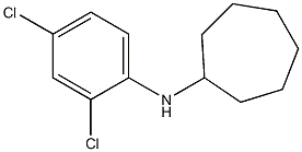 N-(2,4-dichlorophenyl)cycloheptanamine Struktur