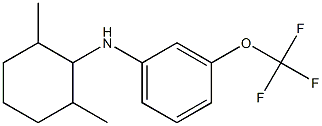 N-(2,6-dimethylcyclohexyl)-3-(trifluoromethoxy)aniline