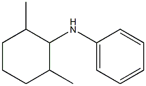 N-(2,6-dimethylcyclohexyl)aniline Struktur