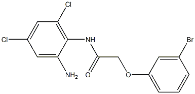  N-(2-amino-4,6-dichlorophenyl)-2-(3-bromophenoxy)acetamide