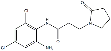 N-(2-amino-4,6-dichlorophenyl)-3-(2-oxopyrrolidin-1-yl)propanamide 结构式