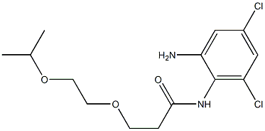 N-(2-amino-4,6-dichlorophenyl)-3-[2-(propan-2-yloxy)ethoxy]propanamide Structure