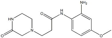 N-(2-amino-4-methoxyphenyl)-3-(3-oxopiperazin-1-yl)propanamide 结构式