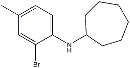 N-(2-bromo-4-methylphenyl)cycloheptanamine Struktur