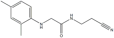 N-(2-cyanoethyl)-2-[(2,4-dimethylphenyl)amino]acetamide Struktur