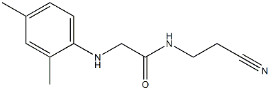 N-(2-cyanoethyl)-2-[(2,4-dimethylphenyl)amino]acetamide|