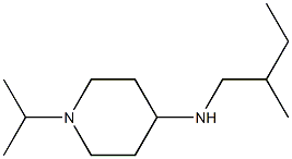 N-(2-methylbutyl)-1-(propan-2-yl)piperidin-4-amine 化学構造式