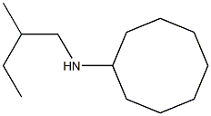  N-(2-methylbutyl)cyclooctanamine