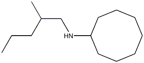 N-(2-methylpentyl)cyclooctanamine,,结构式