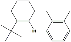 N-(2-tert-butylcyclohexyl)-2,3-dimethylaniline