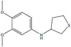 N-(3,4-dimethoxyphenyl)thiolan-3-amine