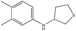 N-(3,4-dimethylphenyl)thiolan-3-amine Structure