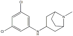 N-(3,5-dichlorophenyl)-8-methyl-8-azabicyclo[3.2.1]octan-3-amine Structure