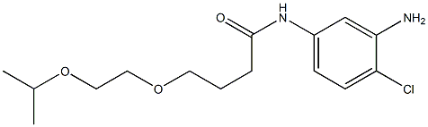  N-(3-amino-4-chlorophenyl)-4-[2-(propan-2-yloxy)ethoxy]butanamide