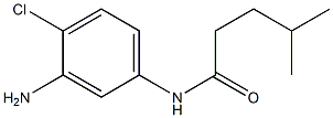 N-(3-amino-4-chlorophenyl)-4-methylpentanamide Struktur